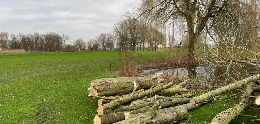 Bomen rooien