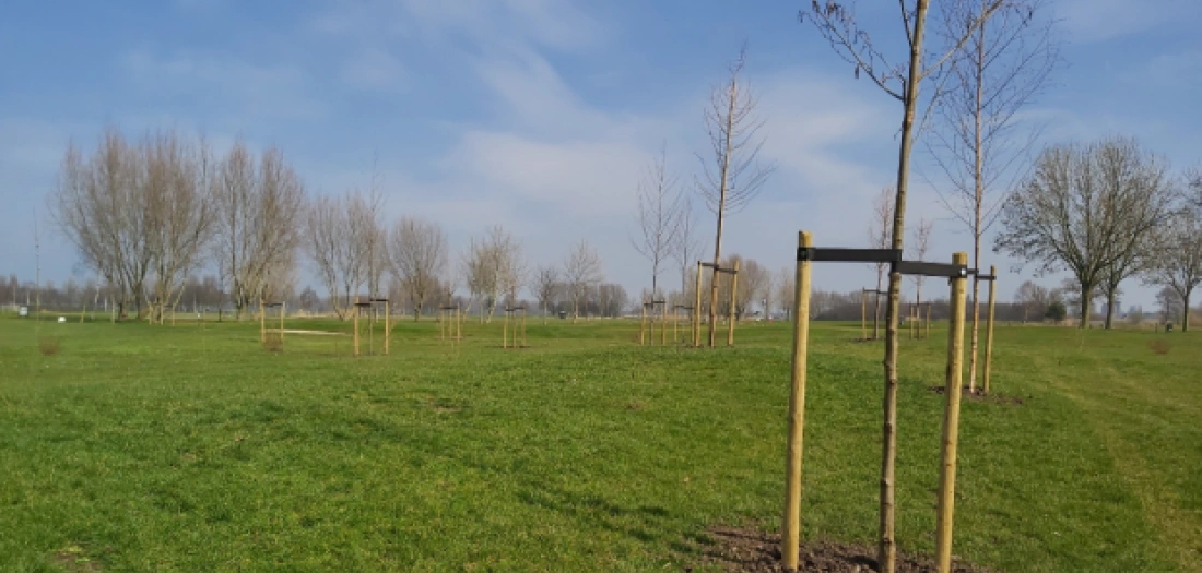 100 Bomen en 60 struiken rijker op Golfbaan Hitland