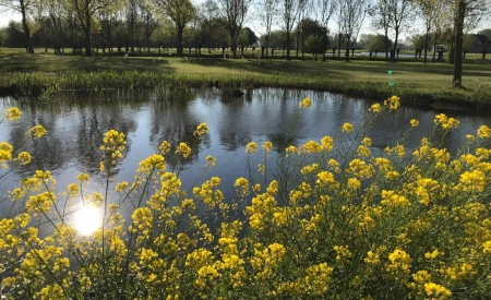 Voordelig greenfeetarief in augustus!