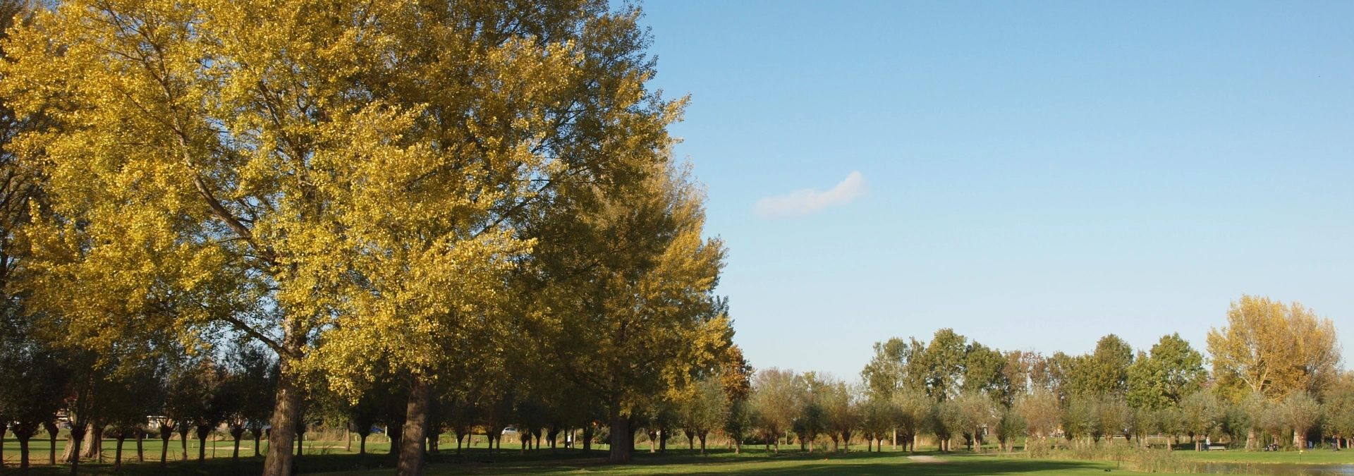 ZAKELIJK GOLFEN OP HITLAND? BEKIJK ONZE MOGELIJKHEDEN