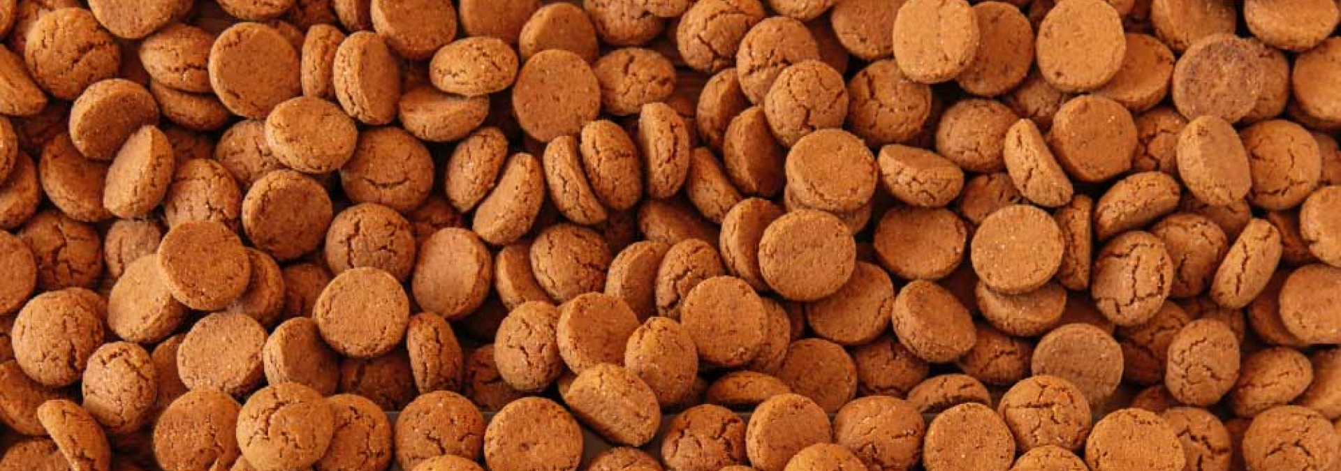 Kom naar de Pepernoten PUBquiz op zondag 23 november!